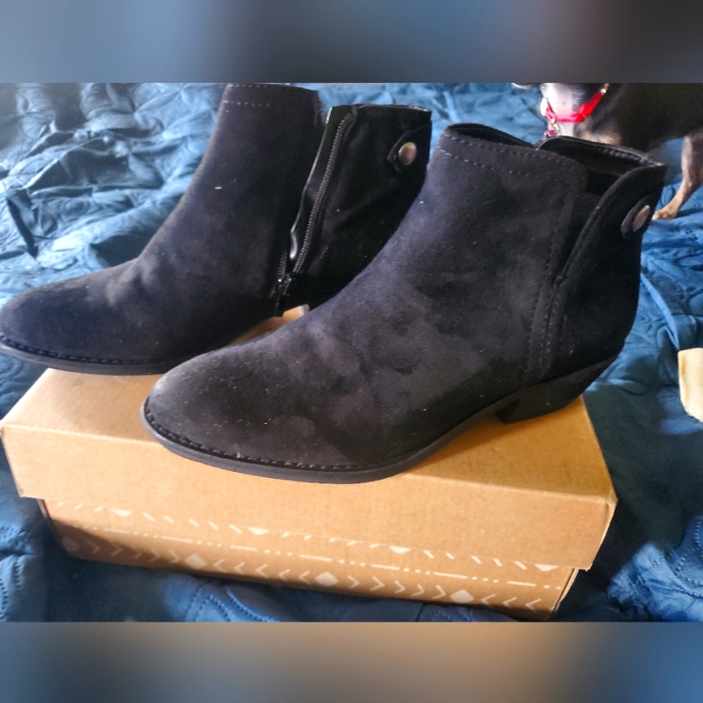 Zodiac ankle boots